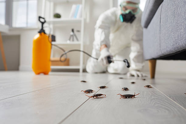 Commercial Kitchen Cockroach Control in East Atlantic Beach